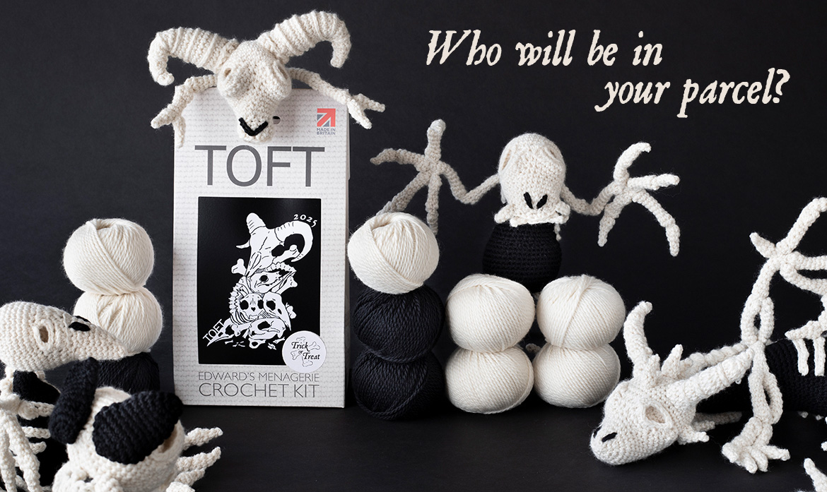 Trick or treat mystery 2025 crochet skeleton lucky dip kits toft parcel